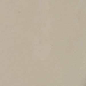 Wonderly 1X floral top